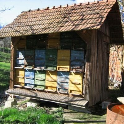 Turistička kuća Jožef Šalamun