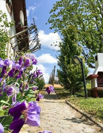Počitniška kuća pored jezera