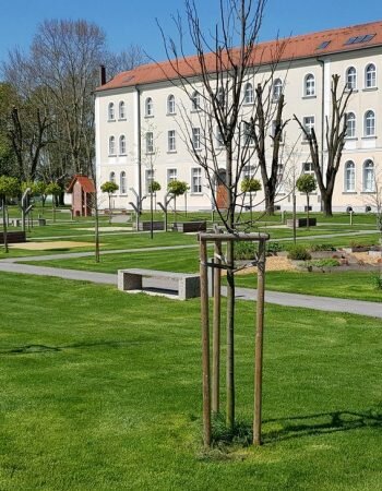 Ustanova Marianum Veržej