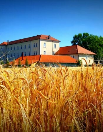 Zavod Marianum Veržej – Penzion Mavrica